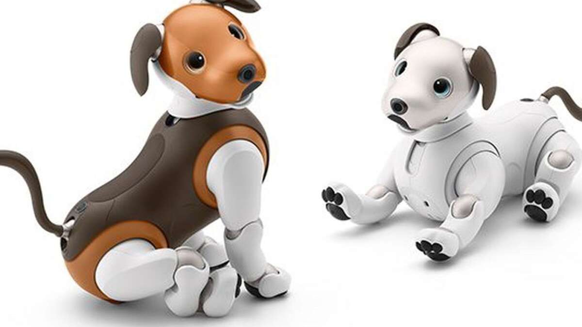 <strong>About the AIBO</strong>